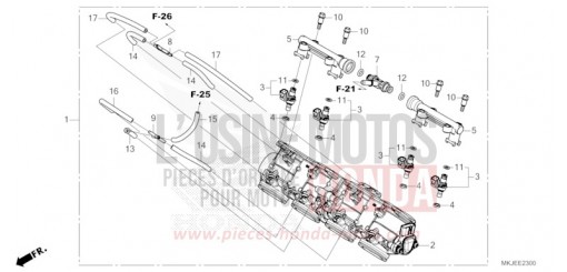 CORPS DE PAPILLON CB1000RAP de 2023